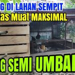Model Kandang Ayam Dengan Area Umbaran Mini
