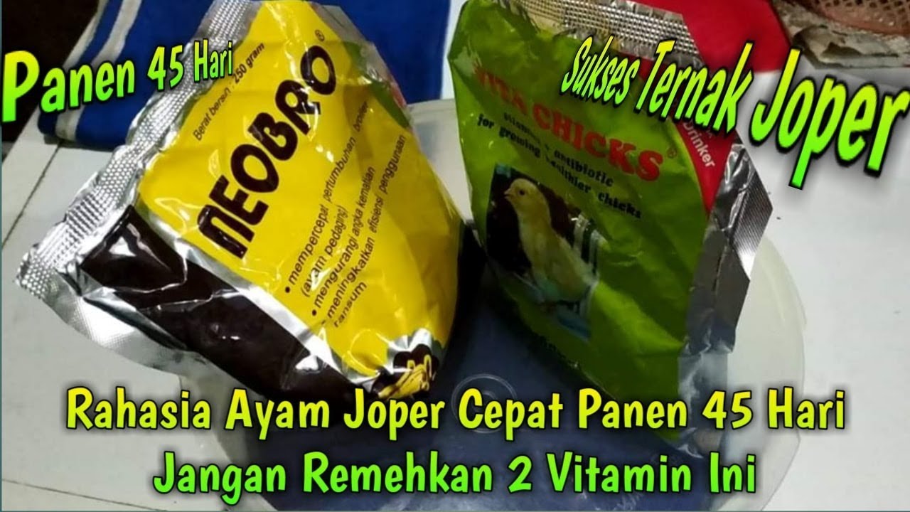 Pakan Ayam Joper