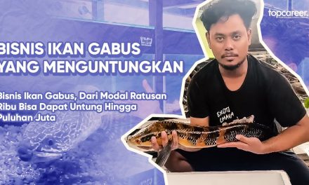 Bisnis Ikan Gabus Mampu Hasilkan Puluhan Hingga Ratusan Juta