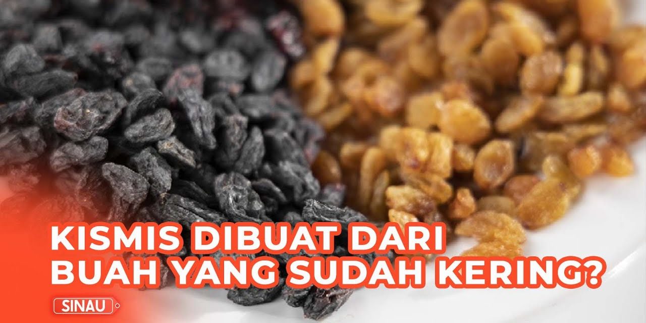 Bahan Dasar Pembuatan Kismis Dan Teknologi Pembuatannya