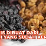 Bahan Dasar Pembuatan Kismis Dan Teknologi Pembuatannya