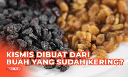 Bahan Dasar Pembuatan Kismis Dan Teknologi Pembuatannya